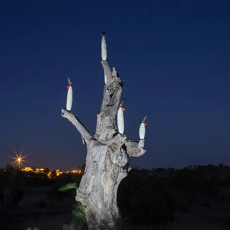 Espargosa Monte De Baixo & Art בית כפרי *