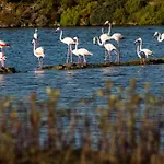 Εξοχικό σπίτι Espargosa Monte De Baixo & Art Castro Marim