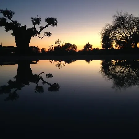 Gospodarstwo wiejskie Espargosa Monte De Baixo & Art Castro Marim