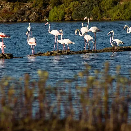 Hétvégi ház Espargosa Monte De Baixo & Art Castro Marim