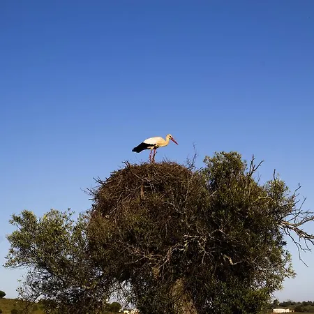 Hétvégi ház Espargosa Monte De Baixo & Art
