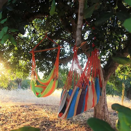 Espargosa Monte De Baixo & Art