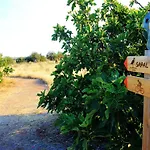 Espargosa Monte De Baixo & Art בית כפרי *